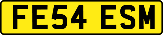 FE54ESM