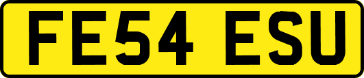 FE54ESU
