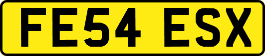 FE54ESX