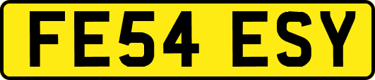 FE54ESY