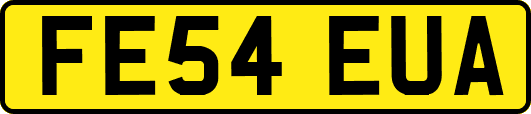 FE54EUA