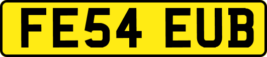 FE54EUB