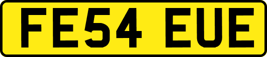 FE54EUE