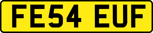 FE54EUF