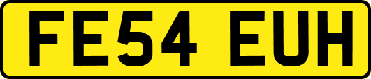 FE54EUH