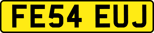 FE54EUJ
