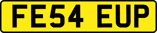 FE54EUP
