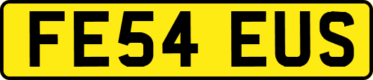 FE54EUS