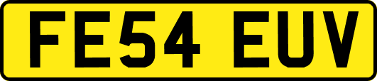 FE54EUV