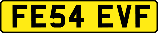 FE54EVF