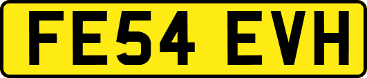 FE54EVH