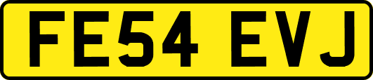 FE54EVJ