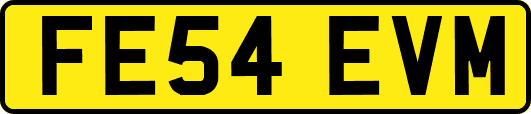 FE54EVM