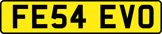 FE54EVO