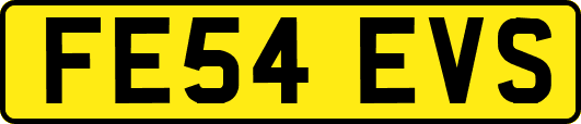 FE54EVS