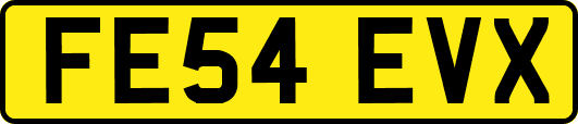 FE54EVX