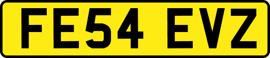FE54EVZ