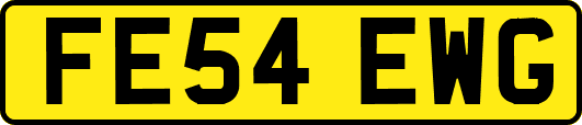 FE54EWG