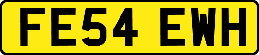 FE54EWH