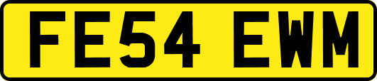 FE54EWM