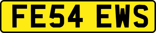 FE54EWS