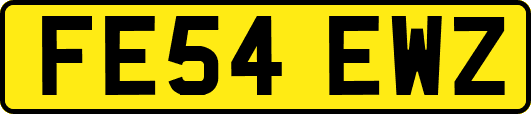 FE54EWZ