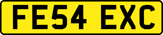 FE54EXC