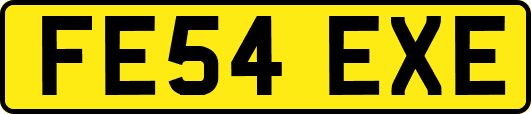 FE54EXE