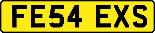 FE54EXS
