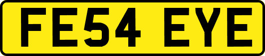 FE54EYE
