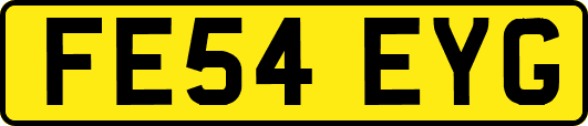 FE54EYG
