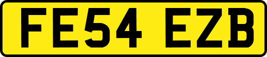 FE54EZB