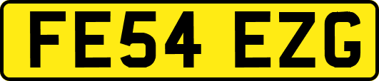 FE54EZG