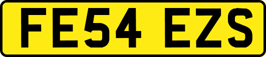 FE54EZS