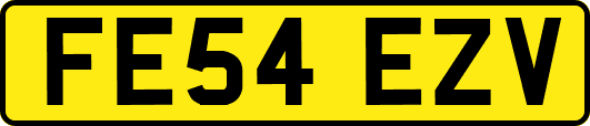 FE54EZV