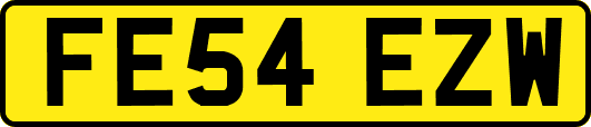 FE54EZW