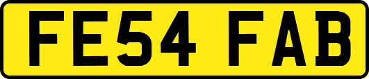 FE54FAB