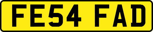 FE54FAD