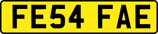 FE54FAE