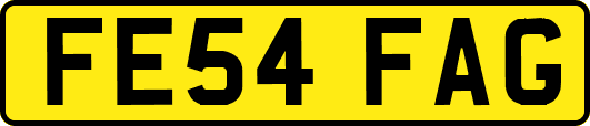 FE54FAG