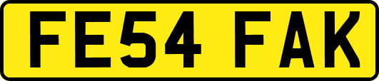FE54FAK