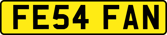 FE54FAN