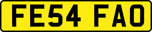 FE54FAO