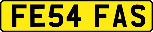 FE54FAS