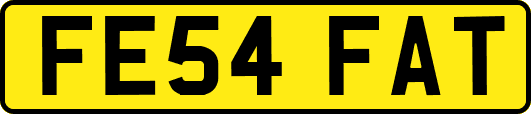 FE54FAT