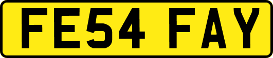 FE54FAY