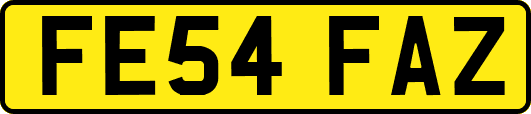 FE54FAZ