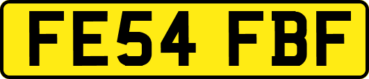 FE54FBF