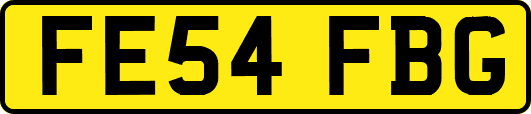 FE54FBG