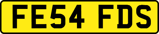 FE54FDS